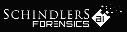 Schindlers Forensics AI logo